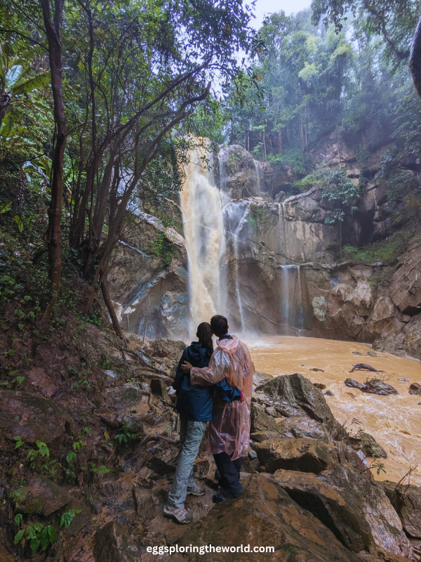 Chiang Mai Selva — imagen 1