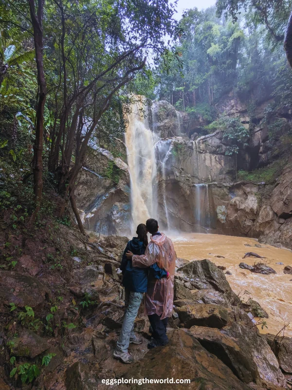 Chiang Mai Selva — imagen 1
