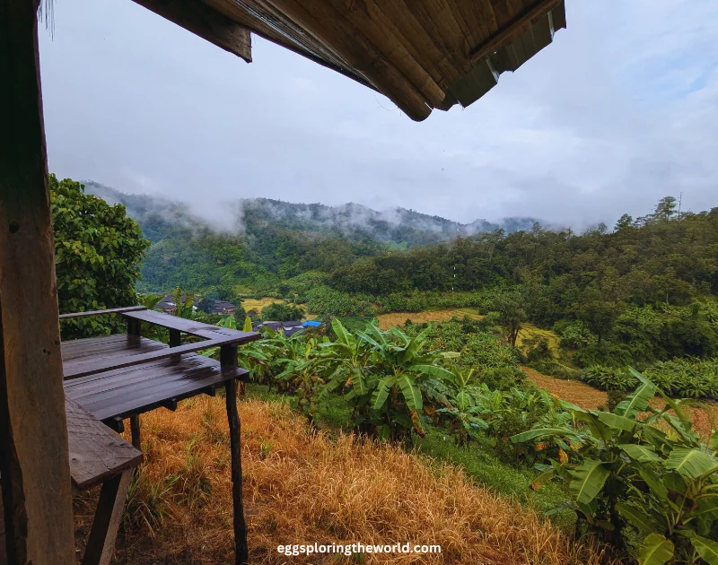 Chiang Mai Selva — imagen 1