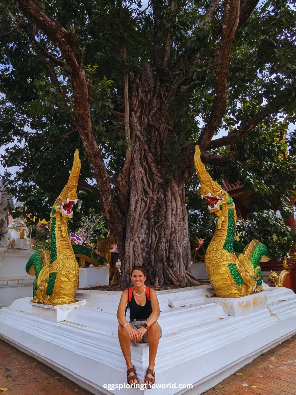 Chiang Rai — imagen 2