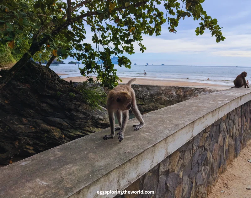 Krabi — imagen 2